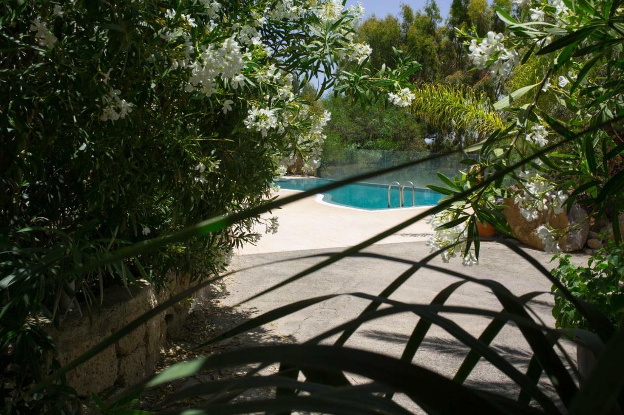 La Malvasía Arico Viejo Exterior foto